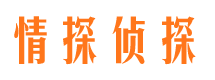 武定侦探公司